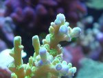SDC12081.jpg