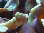 SDC12078.jpg