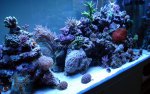 DSC04735.jpg