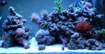 DSC04745.jpg