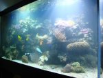 DSC03287.JPG