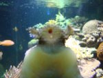 DSC03171.JPG