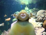 DSC03173.JPG