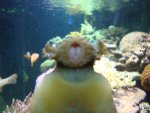 DSC03174.JPG