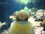 DSC03175.JPG