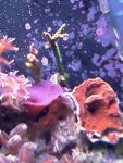 IMAG0416.jpg