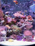 IMAG0415.jpg