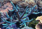 IMG_0410.JPG