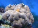 DSC01375.JPG