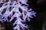 DSC02123.JPG