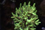 DSC02134.jpg