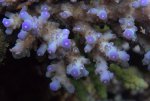 DSC02142.jpg