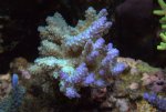 DSC02164.jpg