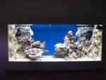 PB260018.JPG