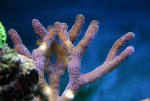 IMG_0257.JPG