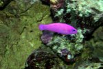 IMG_0268.JPG
