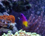DSC04957.JPG