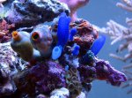 DSC04944.JPG