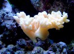 DSC04947.JPG