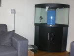 Afbeelding 006..jpg