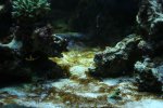 2010MAR01-Bodem..jpg