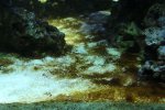 2010MAR01-Bodem2..jpg