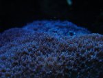 DSC03501..jpg