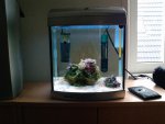 P1510_05-03-10..jpg