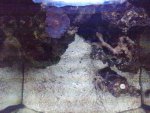 3..jpg