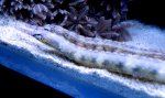 DSC05020-1..JPG