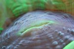 IMG_9573..jpg
