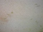 -voermix (4)..jpg