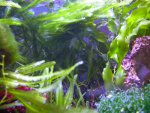 -refugium..jpg