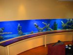 IMG_1347..JPG