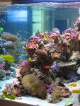 IMG_2122forum..JPG