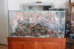DSC_3508..jpg DSC_3508..jpg