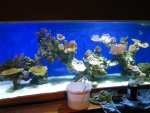 IMG_1353..JPG