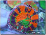 DSC00025 (Medium)..JPG