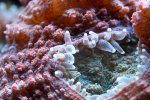 IMG_0378.jpg