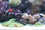 IMG_0506..jpg