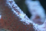 IMG_0097..jpg