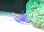 IMG_0328..jpg