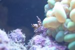 IMG_1082..jpg