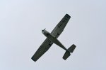 IMG_1252..jpg