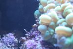 IMG_1072..jpg