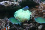 IMG_1885.jpg