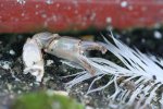 IMG_1429.jpg
