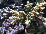 IMG_1213.jpg