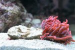 IMG_2044.jpg