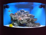 Afbeelding 1040.jpg